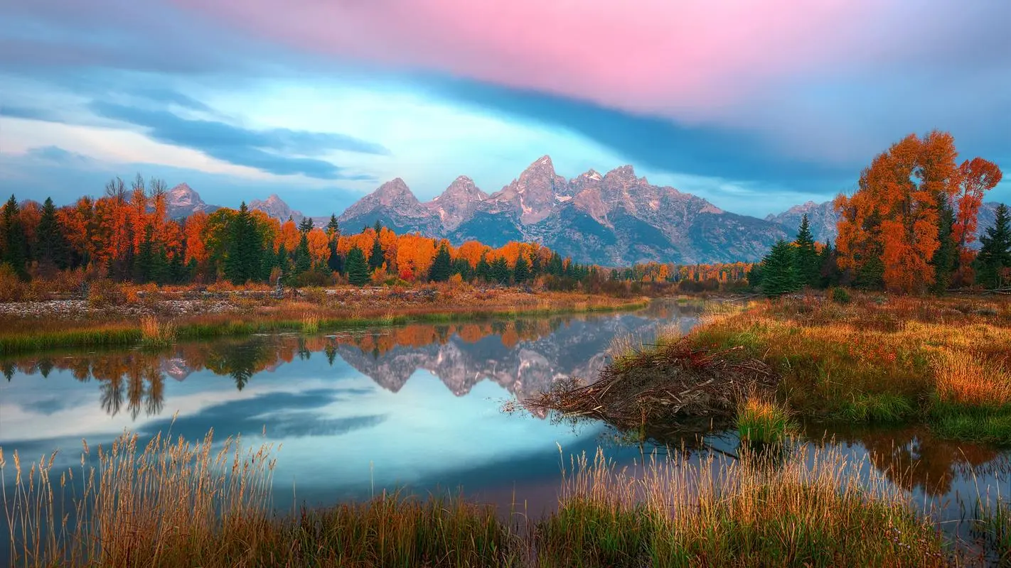 高性能精密
